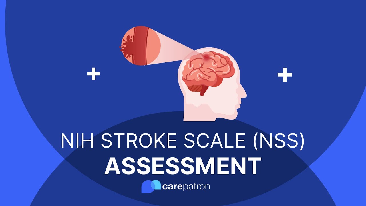 What Is Nih Stroke Scale Infoupdate Org