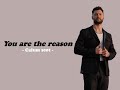 Calum Scott - You Are The Reason ( Lyrics )