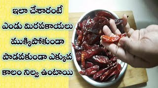 How to store red dry mirchi long time|ఎండు మిర్చి పాడవకుండా కొన్ని నెలలపాటు ఫ్రెష్ గా ఉండడానికి టిప్