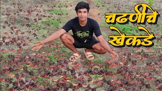 पहिल्या पावसात चढणीचे खेकडे पकडण्याची मज्जा | traditional crab catching | village crab catching