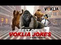 BEST OF VOKLIA JOKES 1