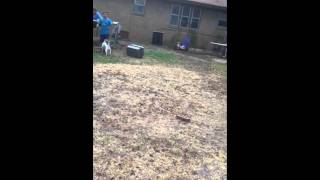 Jackass 4 kids- Part 2