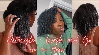 Best wash and go method for natural 4c hair | How I detangle my 4c hair