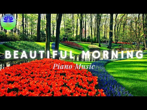 Beautiful Relaxing Piano Music Positive Energy Morning Clam Music