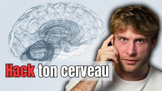 Tout remettre à plus tard : comment arrêter grâce aux neurosciences !