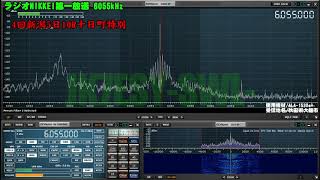 【新潟競馬場】ラジオNIKKEI第一放送6055kHz 2020年10月24日【4回新潟5日】