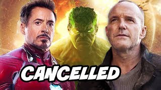 Why Marvel Cancelled Agents of SHIELD - Avengers Endgame Crossover Breakdown