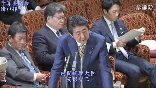 猪口邦子(自由民主党)（2020/3/16参議院予算委員会②）