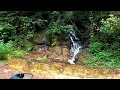 ride to ranipuram hill station via bhagamandala and karike coorg kannadamotovlogs karnatakatourism