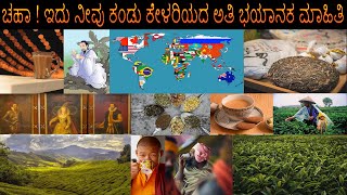 Tea ! Amazing information you have Never heard. ಚಹಾ! ನೀವು ಕೇಳಿರದ ಅದ್ಭುತ ಮಾಹಿತಿ