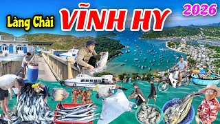 Khám phá làng chài vịnh Vĩnh Hy 2026 - Cá đuối khổng lồ và du lịch phát triển mạnh.