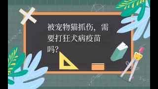 学生作品——被宠物猫抓伤需要打狂犬病疫苗吗？