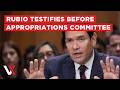 LIVE | Secretary of State Marco Rubio Faces House Budget Hearing in Washington | VERTEX