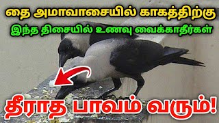 தை அமாவாசையில் காகத்திற்கு இந்த திசையில் உணவு வைக்காதீர்கள் தீராத பாவம் வரும் !