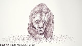 How to Draw Draw a Lioness With a Marker - Mountain Lion - Cougar - Jaguar - Big Cat - Puma