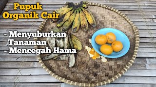 Manfaat Kulit Pisang dan Jeruk sebagai pupuk penambah kesuburan dan pencegah hama