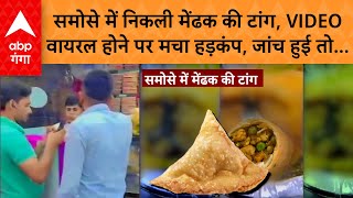 Gaziabad Viral Samosa: समोसे में मेंढक की टांग निकली तो हंगामा हो गया, वीडियो हो रहा वायरल |