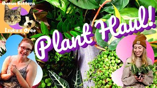 Canadian Plant Haul | 13 plants in one day!