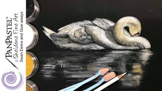 LIVE DEMO || PanPastel and Pencil Swan Painting