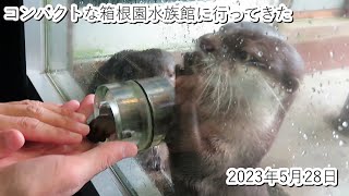 コンパクトな箱根園水族館に行ってきた（2023・5・28）