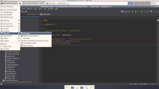 Debug using PHPStorm