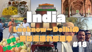 インド旅行Lucknow〜Delhiの珍道中! #インド #旅行 #食べ歩き