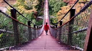 紅葉時期の 井川湖 ＆ 接岨湖