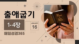 [매일성경365]  출애굽기 1-4장 성경통독, 성경읽기 (16일)