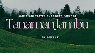 Hama dan Penyakit pada Tanaman Jambu | Kelompok 2 AET PLG