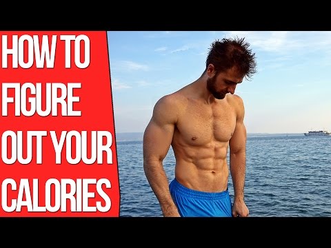 How To Calculate Your Calorie Intake? (2 Easy Methods) How To Calculate Your Calorie Intake? (2 Easy Methods)