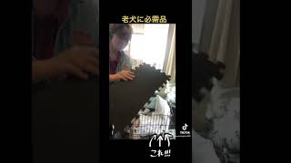 老犬に良いよ❤️❤️❤️