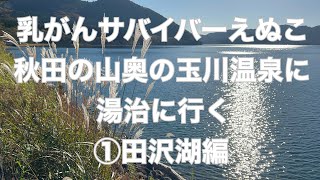 乳がん患者が玉川温泉で湯治する①田沢湖