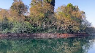 Reflective Moments - Clarity