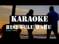 BISI SULU BARU - TERENT TOMAZ  (KARAOKE) #karaoke