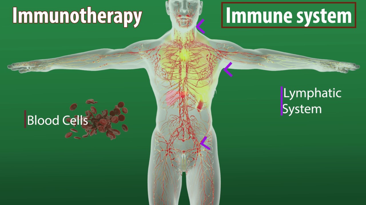 What Is Immunotherapy Cancer Treatment And How Does It Work? - YouTube