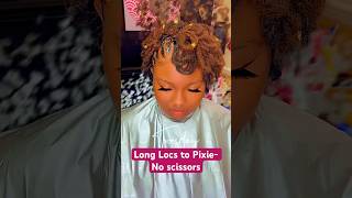 Long Locs to Pixie W NO CUT!! #fyp#locnation#pixie#locstyles#dreadlocks#subscribe