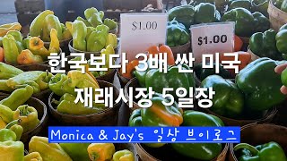 미국일상- 미국 재래시장에 다녀왔어요 ~ Visiting Rochester public market#publicmarket#fruits#자영업자#부부#미국재래시장