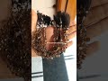 Smokey Quartz Cut Pear Beads