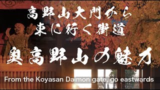 高野山大門から東に行く街道、田辺、龍神、方面に行きました。途中に田舎食堂がある、立里荒神様により、空海が身を隠すために雲海を出したと伝説される場所がある、