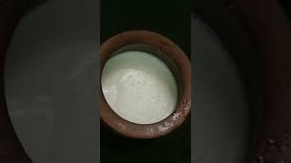 ఆరోగ్య కరమైన  కుండ పెరుగు తయారీ విదానం curd prepared in a clay pot with simple procedure  !! दही