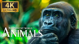 Magnificent World Animals 4K 🐒Discovering the Majestic and Mischievous of Wildli