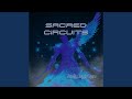 Circuits of Light