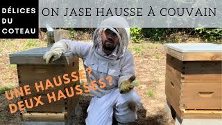 Gestion de la ruche: Une hausse à couvain? Deux hausses à couvain?