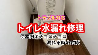 【トイレ水漏れ修理】便器内にチョロチョロ漏れる時の対応