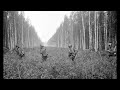 sÄkkijÄrven polkka instrumental