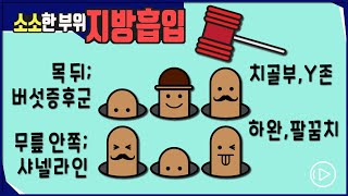 소소한 부위들 지방흡입 - 목뒤(버섯증후군), 치골(Y존), 샤넬라인(무릎), 하완