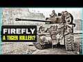 What Made The Sherman Firefly An Effective Tiger Killer?