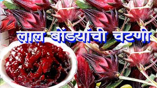 लाल अंबाडीच्या बोंड्याची चटणी | जॅम | ranbhaji ambadichye lal bond | लाल अंबाडीचाजॅम | अंबाडीची चटणी