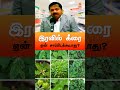 ஏன் இரவில் கீரை சாப்பிடக்கூடாது தெரியுமா drsivaraman keerai கீரை sivaramansiddha health tamil