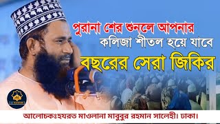 পুরানা শের শুনলে আপনার কলিজা ঠান্ডা হয়ে যাবে শুনে দেখুন | mahbubur rahman salehi waz |